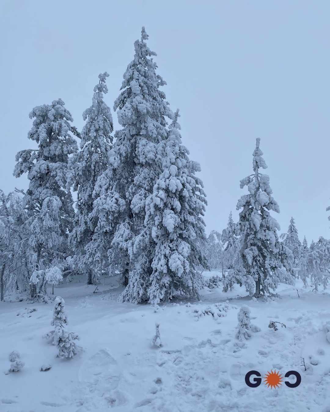 Finish lapland covered in snow
